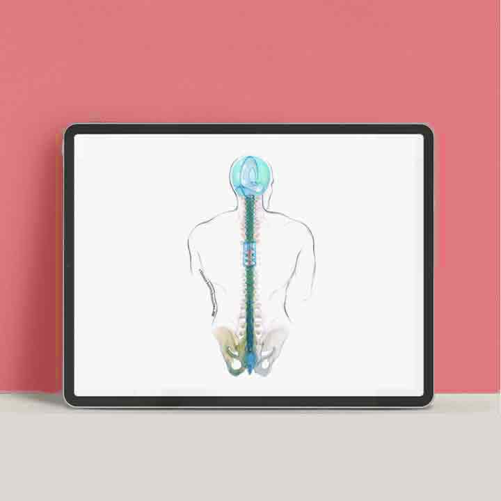 Brigitte Gruber, Cranio Sacral, Hand aufs Herz